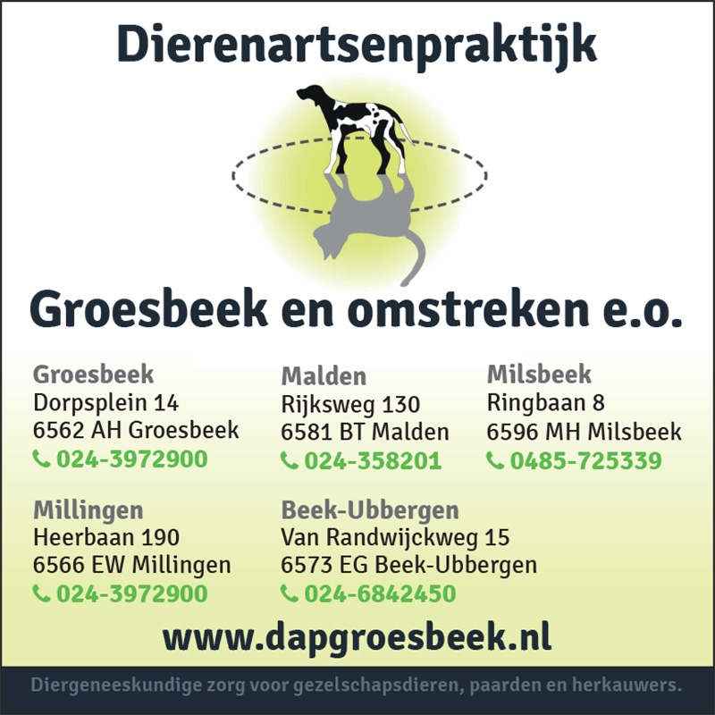 dapgroesbeek.nl.jpg